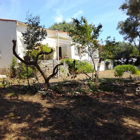 Bonifacio, Maison 90M² Sous Les Oliviers, Vue Sardaigne Bonifacio  Bagian luar foto