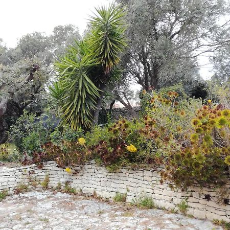 Bonifacio, Maison 90M² Sous Les Oliviers, Vue Sardaigne Bonifacio  Bagian luar foto
