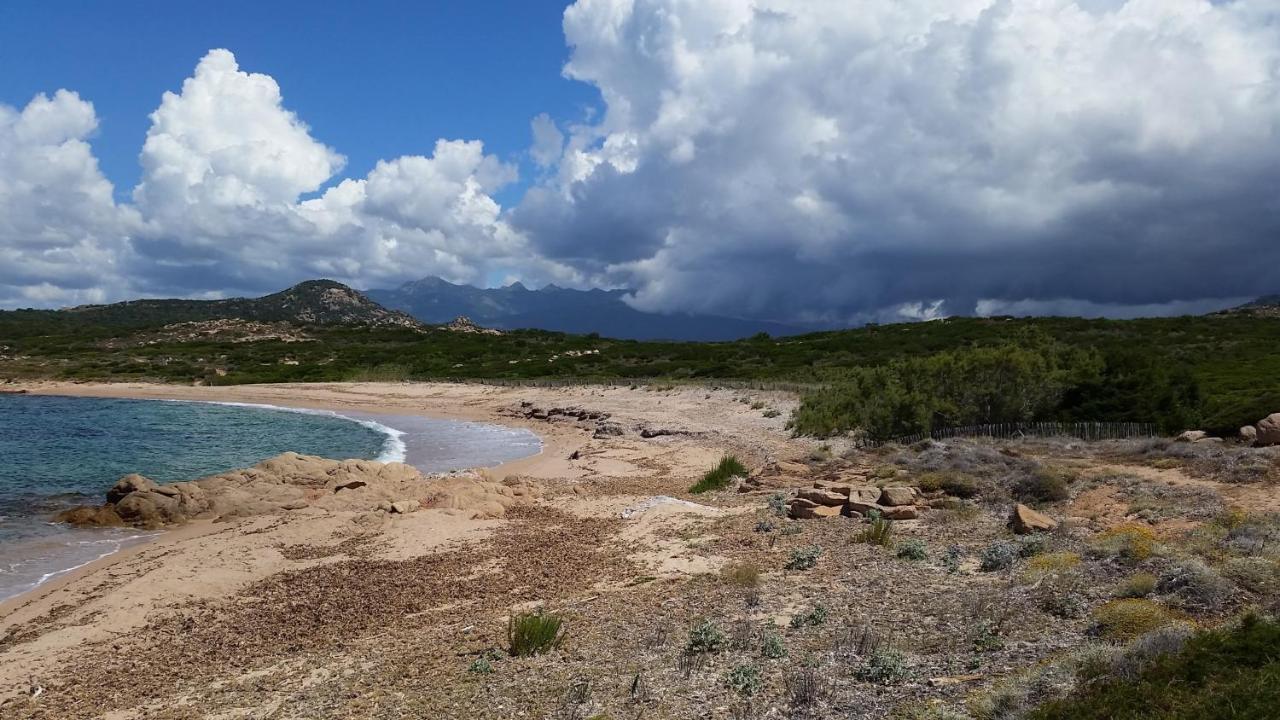 Bonifacio, Maison 90M² Sous Les Oliviers, Vue Sardaigne Bonifacio  Bagian luar foto