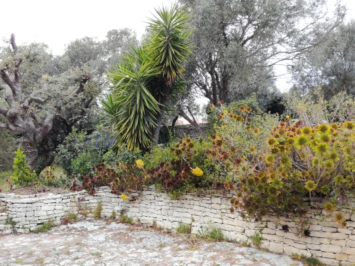 Bonifacio, Maison 90M² Sous Les Oliviers, Vue Sardaigne Bonifacio  Bagian luar foto