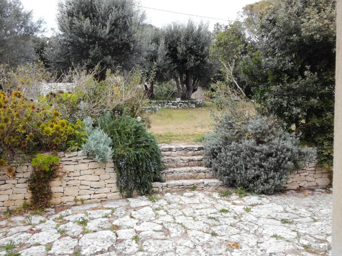 Bonifacio, Maison 90M² Sous Les Oliviers, Vue Sardaigne Bonifacio  Bagian luar foto